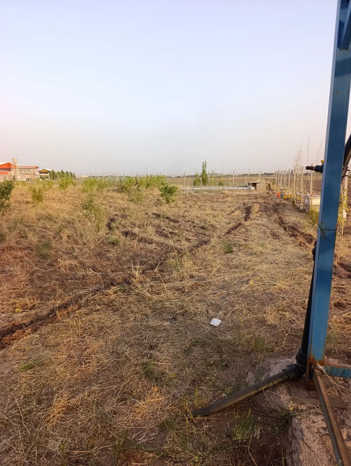 باغ زمین محموداباد نونه