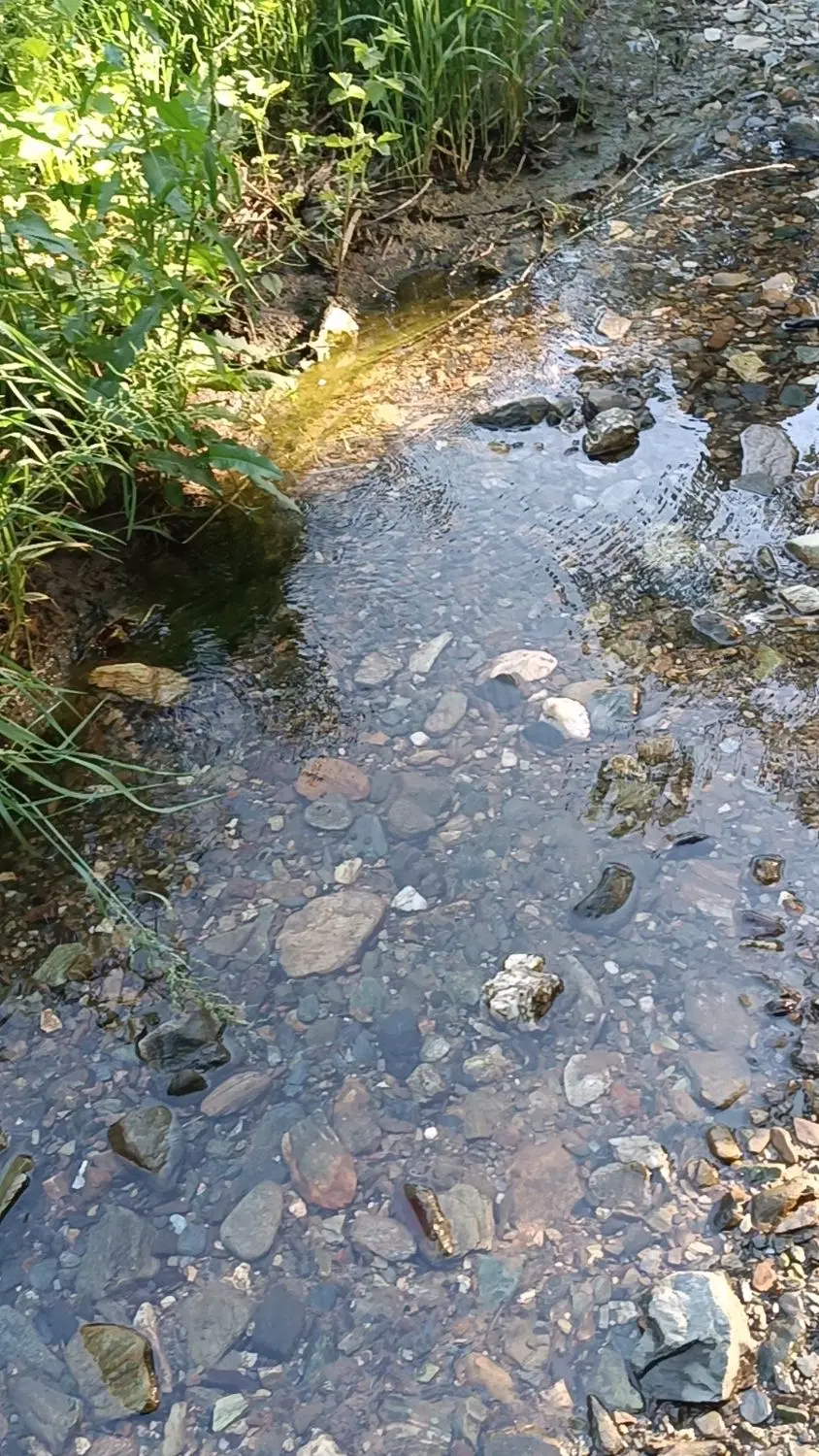 باغچه ور جاده ملحمدره