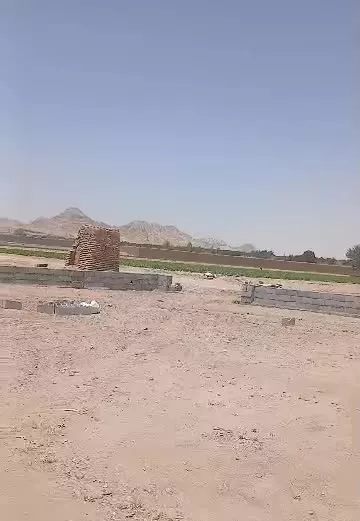 فروش ۵۰۰۰ متر زمین کشاورزی (آینده دار) بَر اتوبان