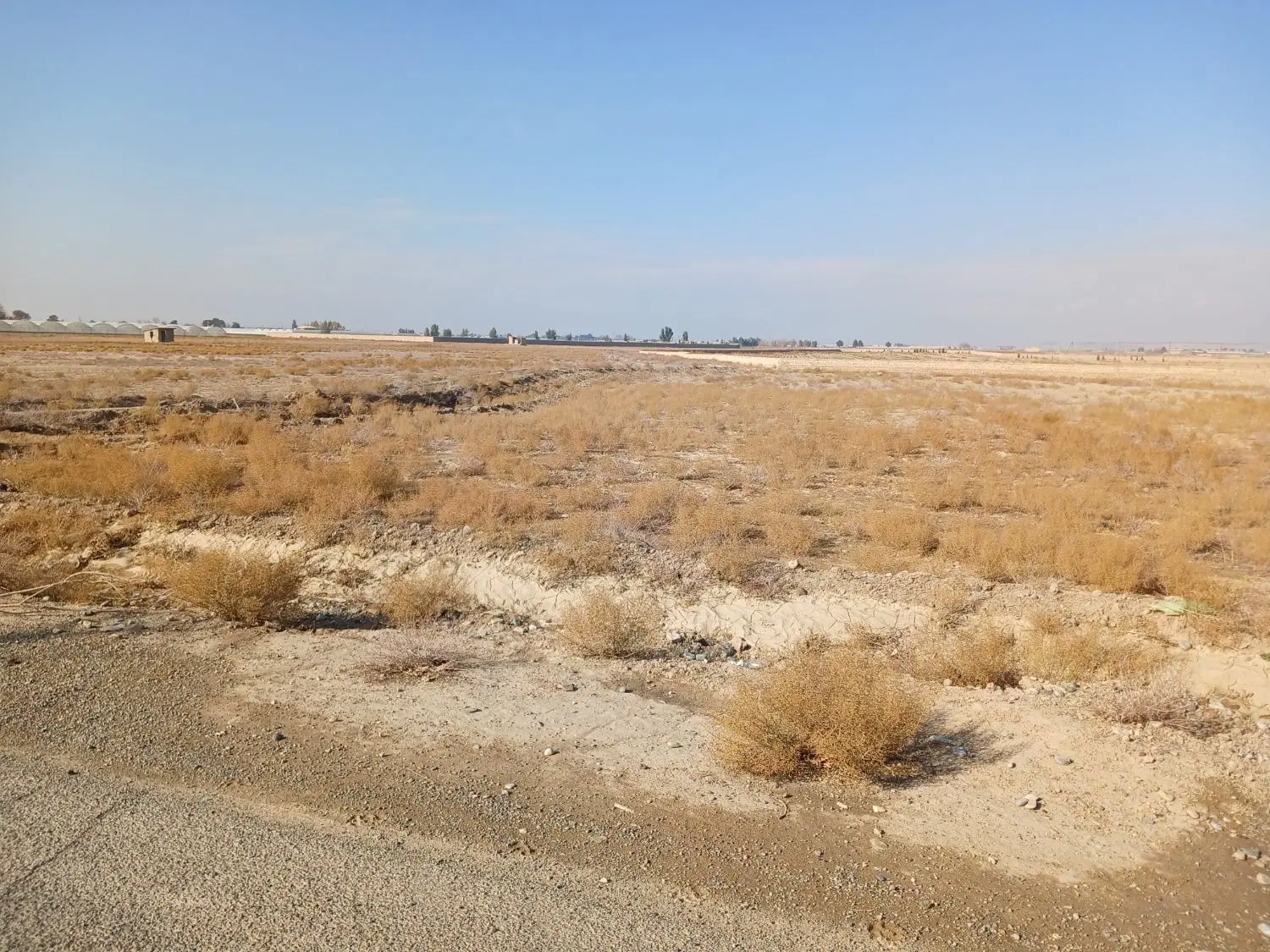 زمین باغی لب جاده اصلی آسفالت