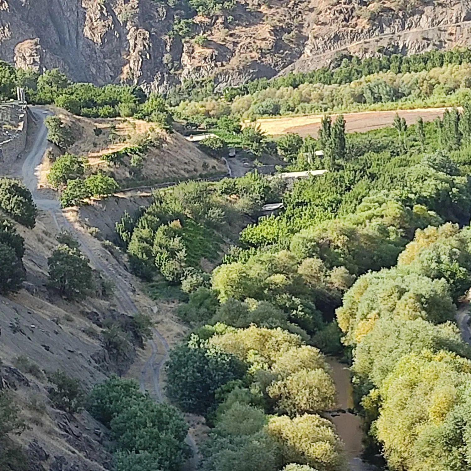 فروش زمین کشاورزی