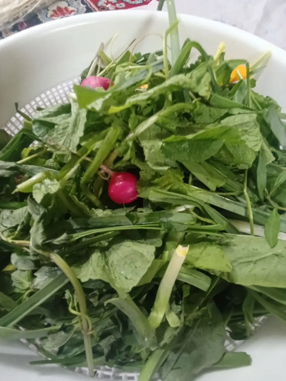 سبزی فروشی