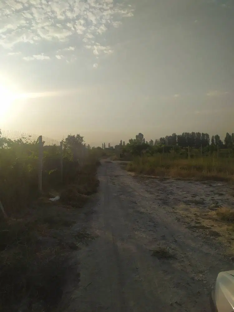 زمین زراعی کشاورزی