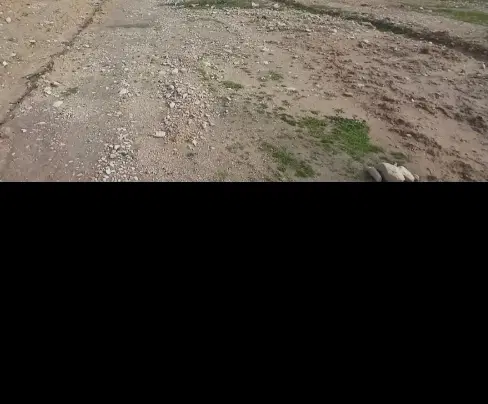 زمین نه دی