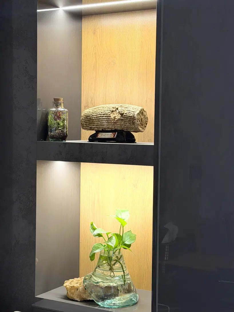 تاپ لوکیشن_ پروانه ۵ طبقه روی پیلوت