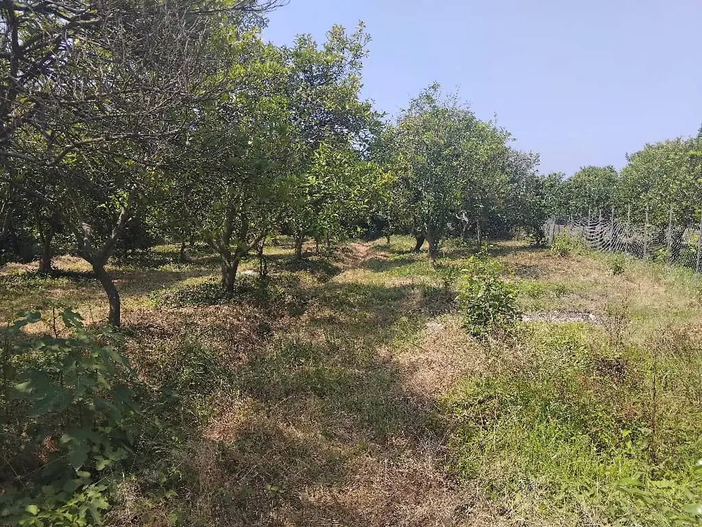 زمین شهرکی ۲۸۰متر مربع