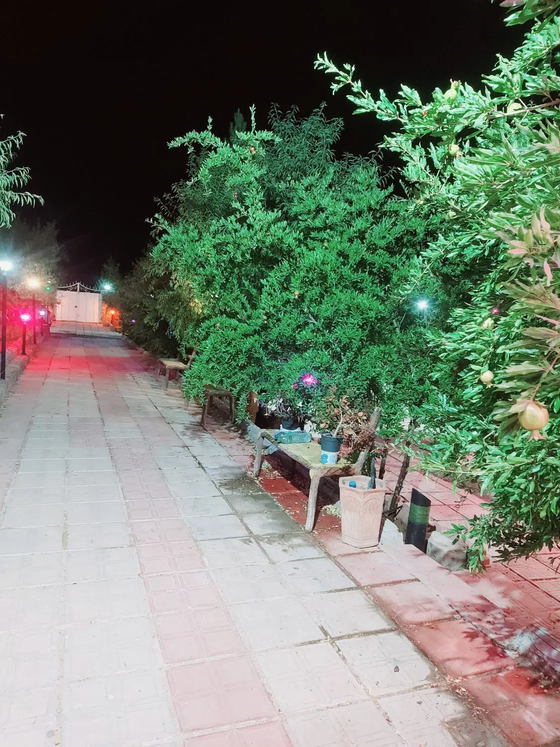 باغ سیخ دارنگون(گلدشت) با کنتور برق وآب سندتک برگ