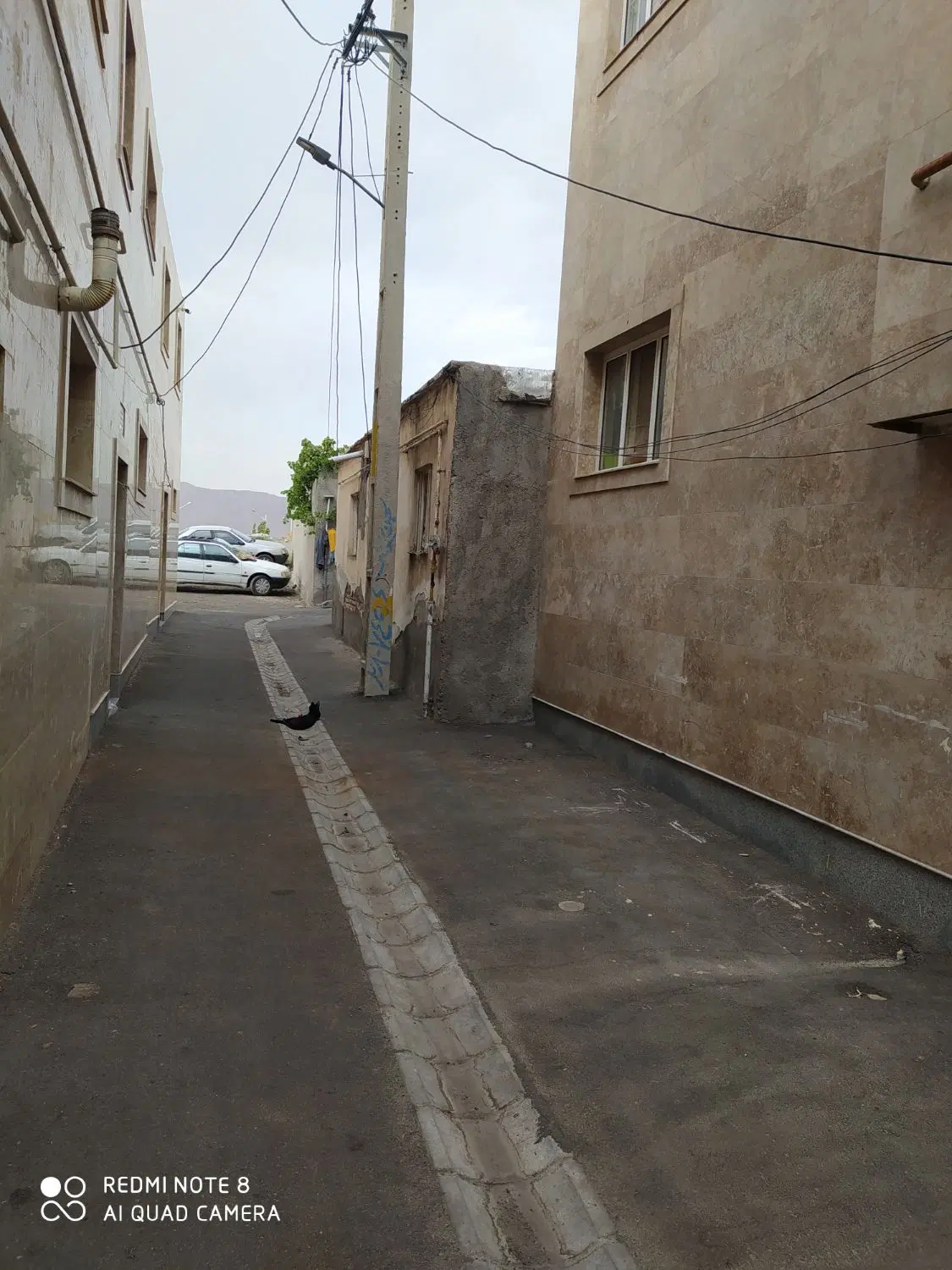 ملک کلنگی در مارالان