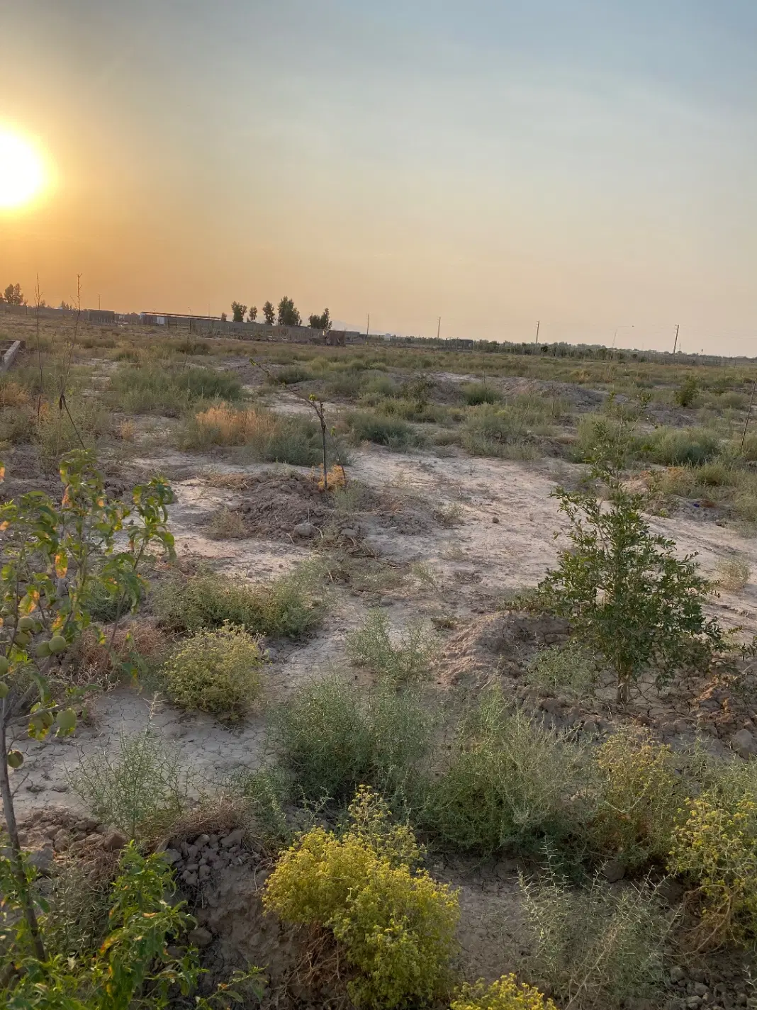 زمین باغچه