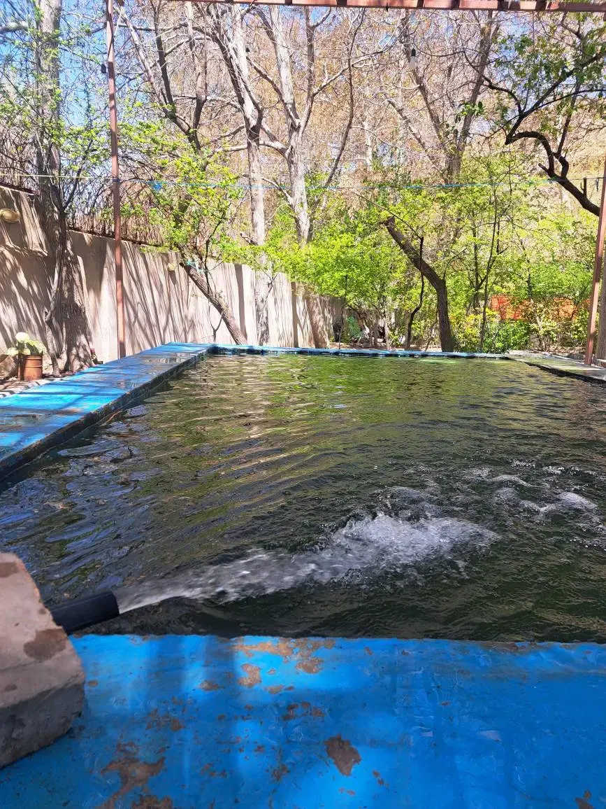 باغ اجاره ای روستای اَوِل دنج و خلوت