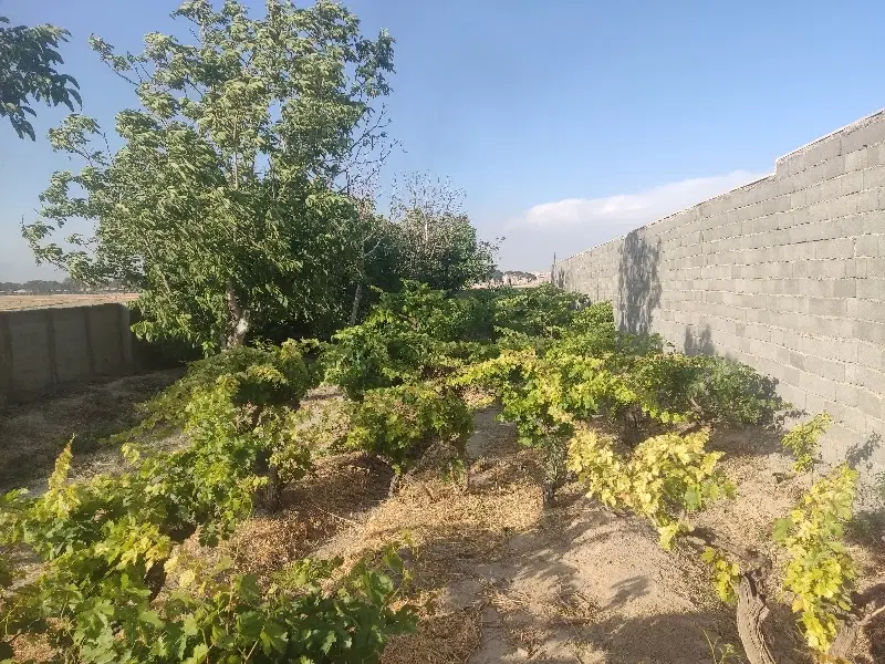 باغچه 500 متری
