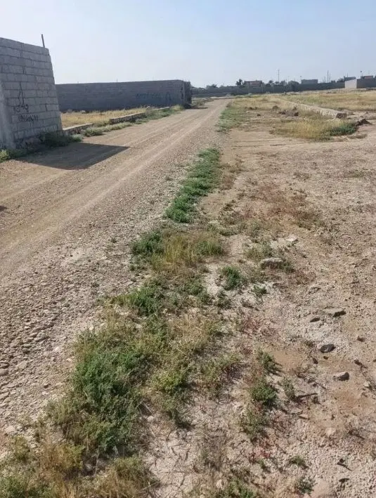 225متر زمین پشت سالن گورک کلبندی