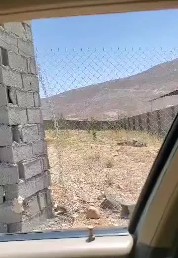 زمین