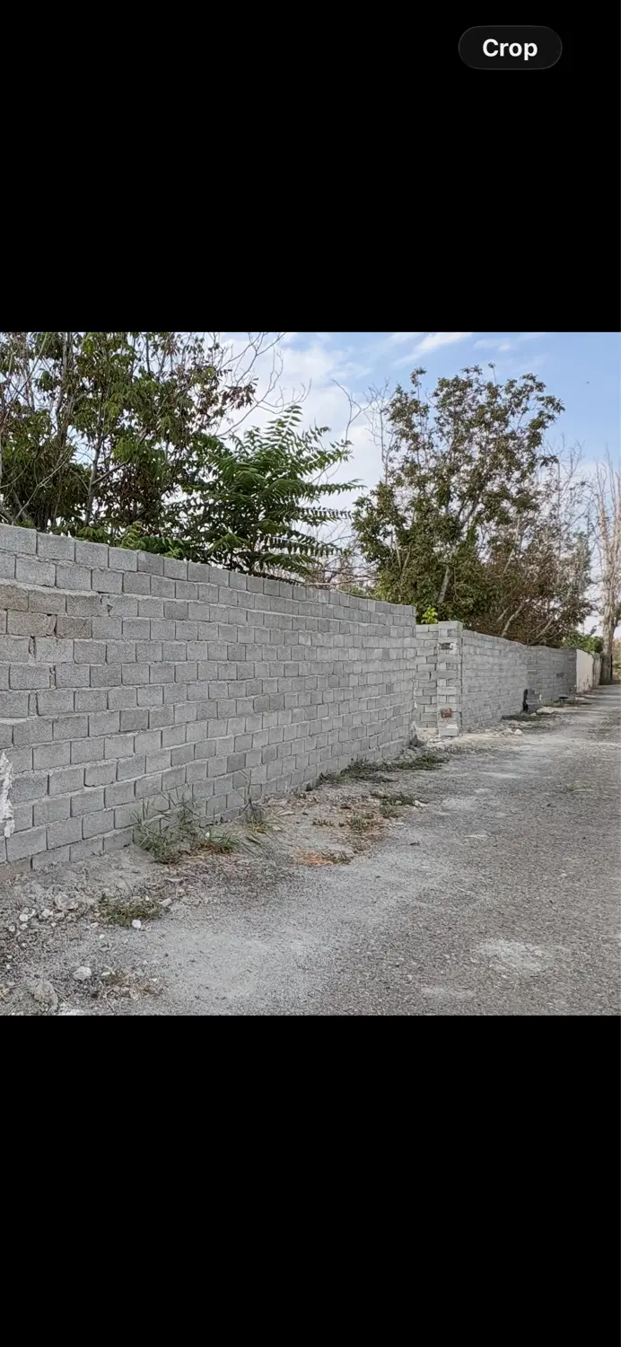 باغچه ۲۵۰ متری اقاقیا