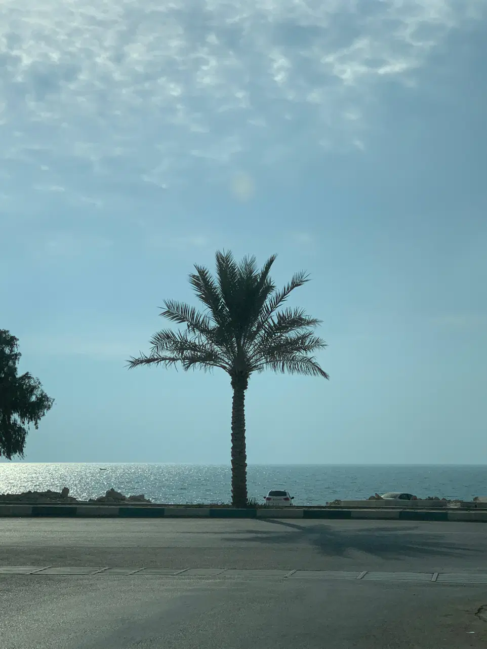 زمین ساحلی کنگان خیابان شافعی