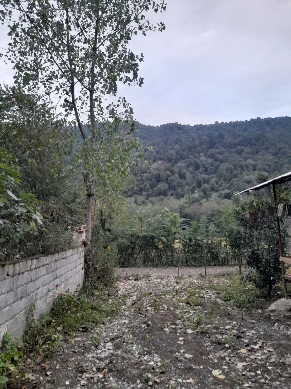 اجاره ویلا