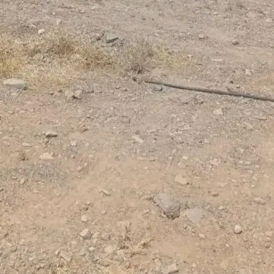 زمین اندوهجرد