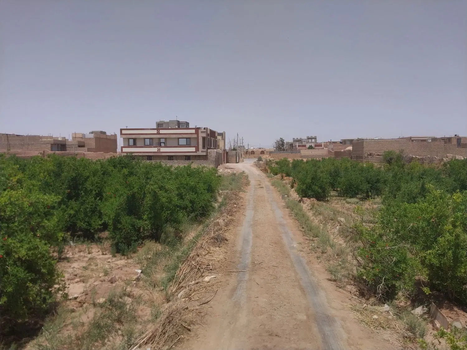 زمین برای ساخت و سرمایه گذاری در شاهدیه