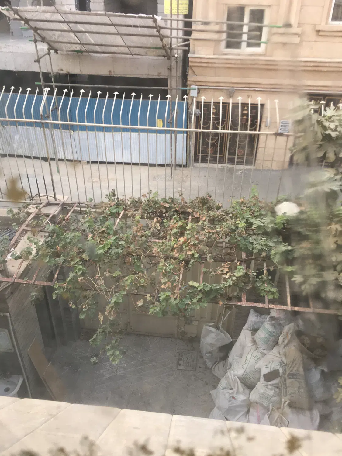 خانم هستم خانه دارم همخانه میخوام