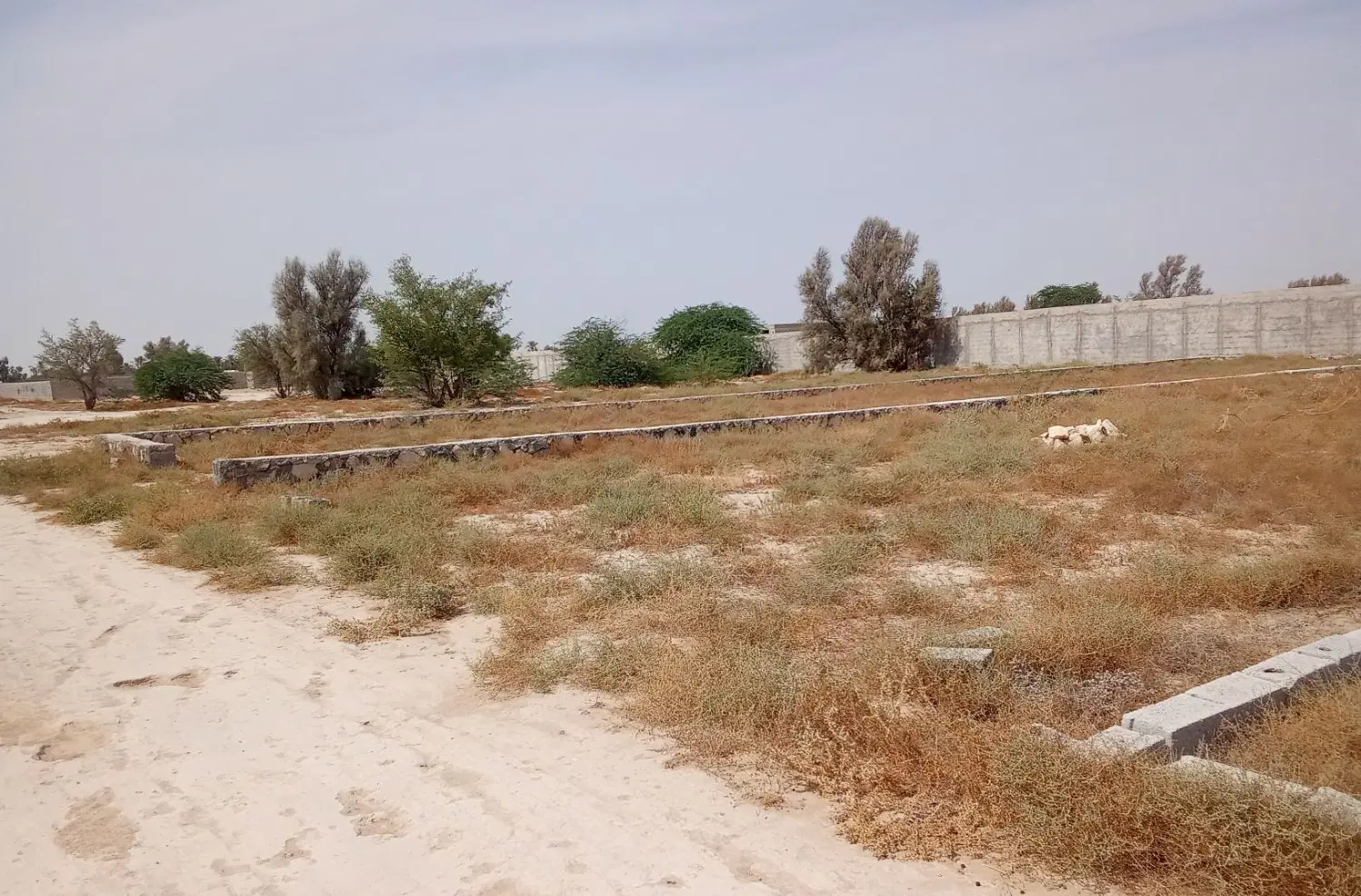 زمین