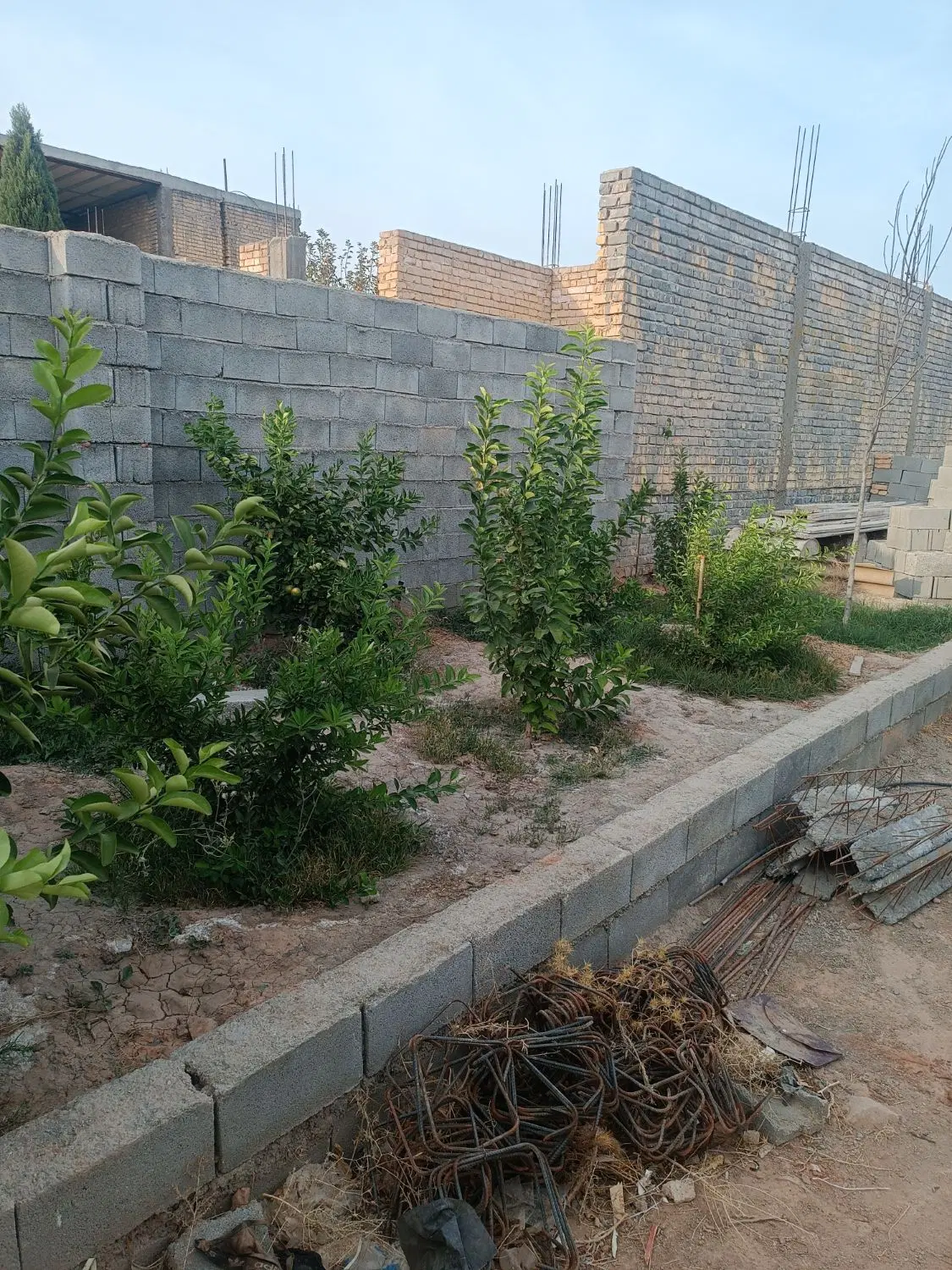 باغچه