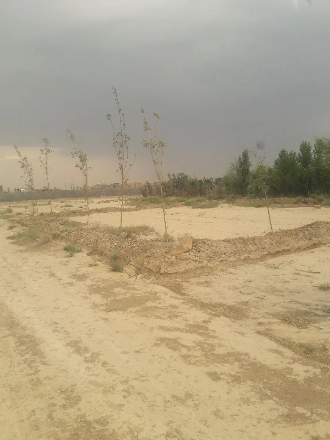 زمین کشاورزی چسب بافت. خوش قواره