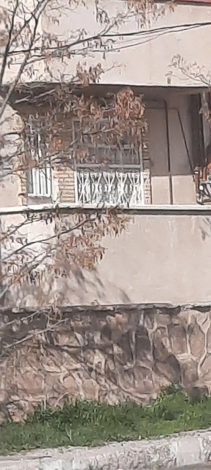همخونه