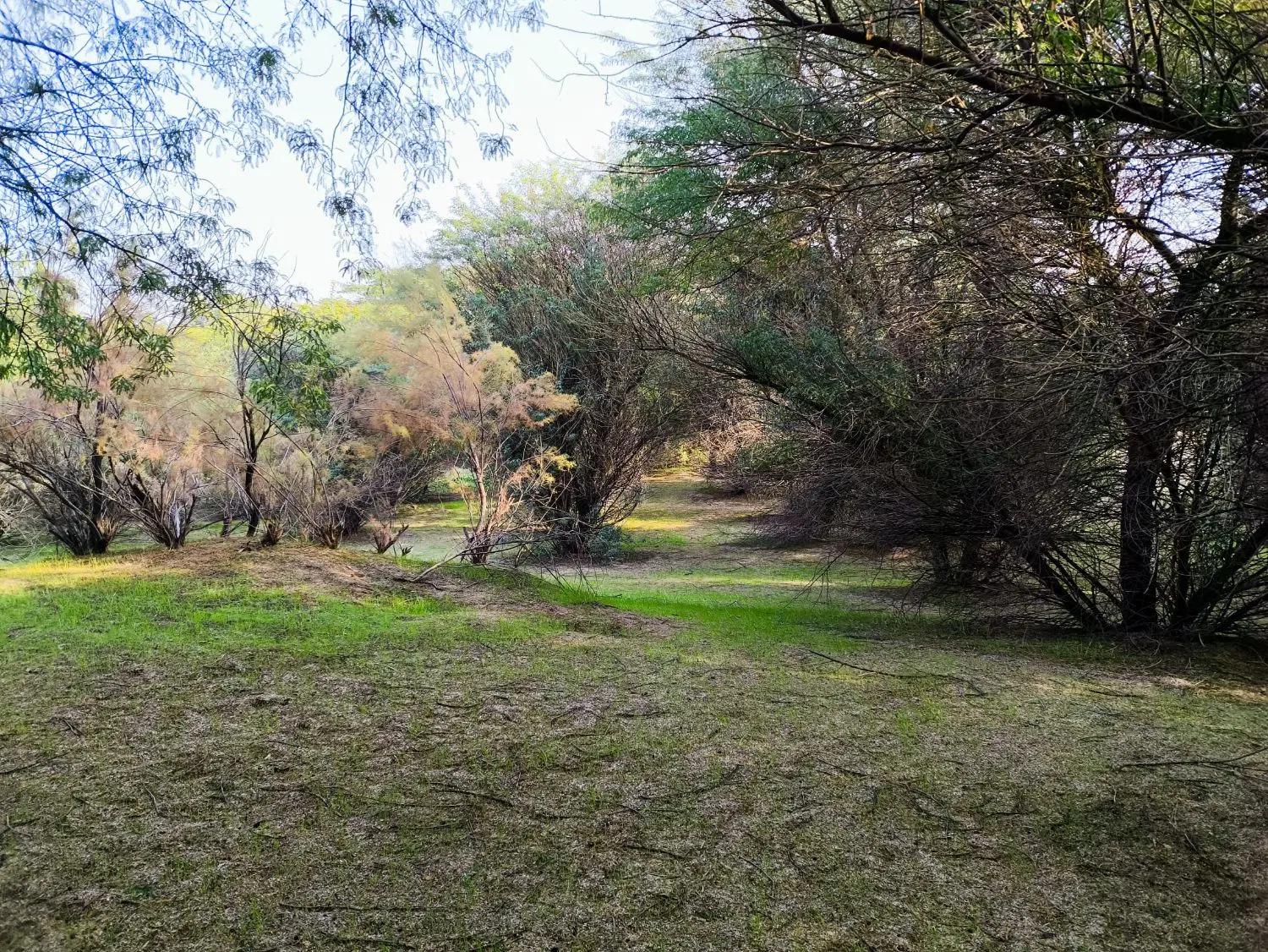 زمین مسکونی