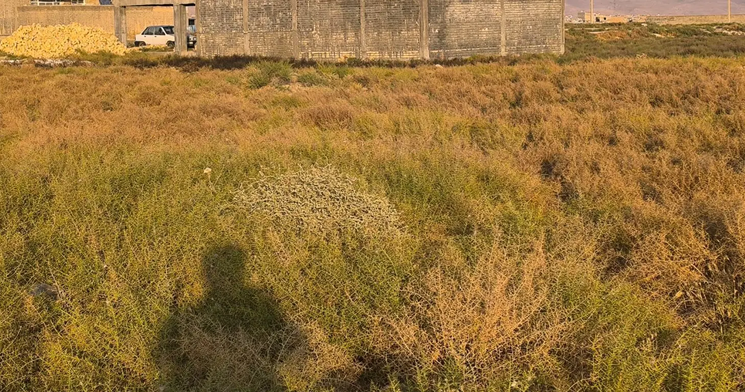 زمین قلعه نو