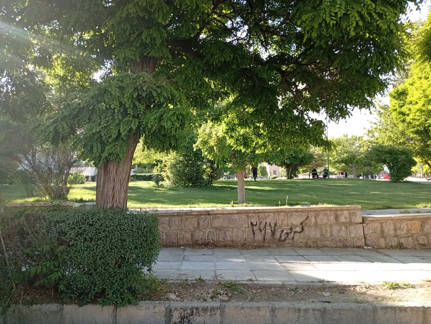 اجاره تجاری و اداری