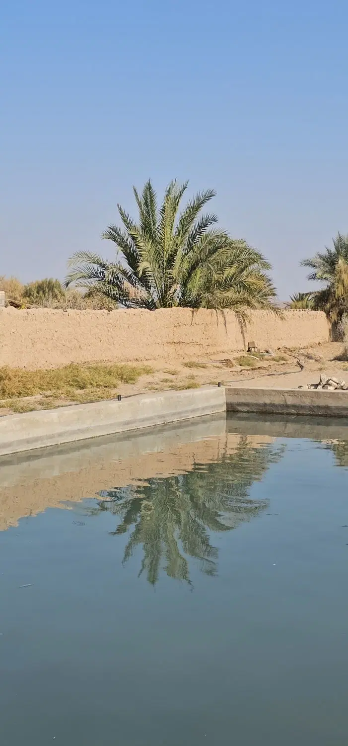 زمین حسن اباد