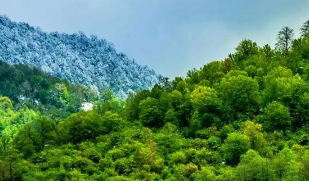 زمین استثنایی در قلب کوه ویو ابدی بدون مشرف