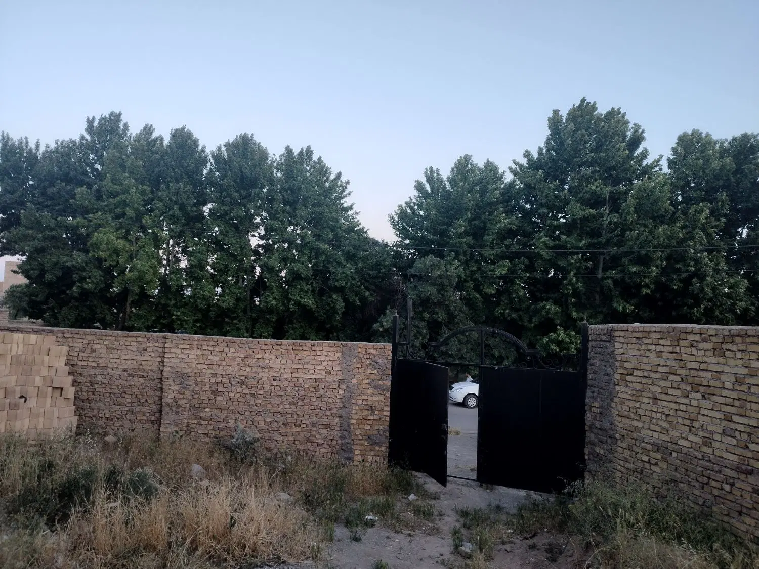 همخونه میشم