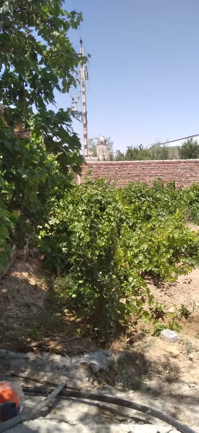 باغ چهار دیواریجهار