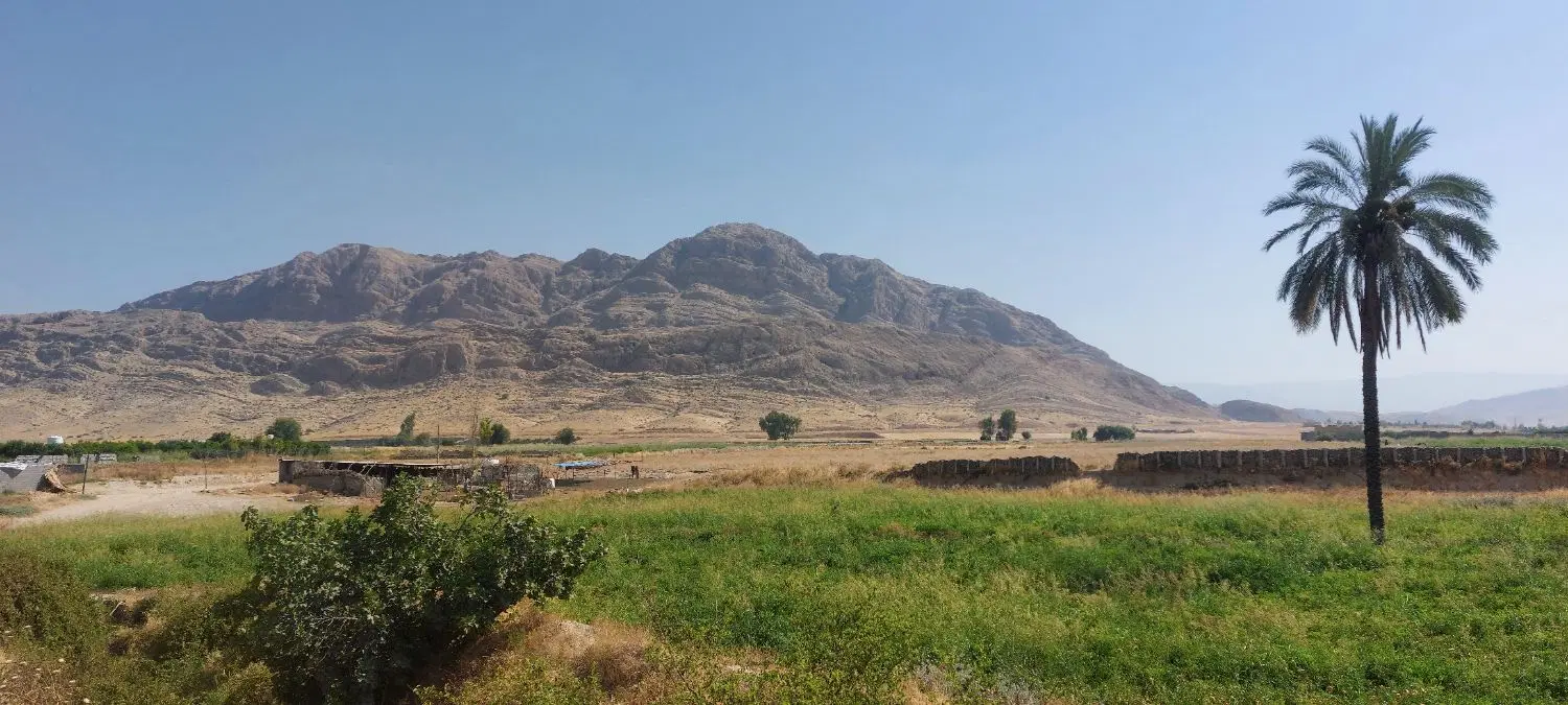 یک قطعه زمین در سنگان