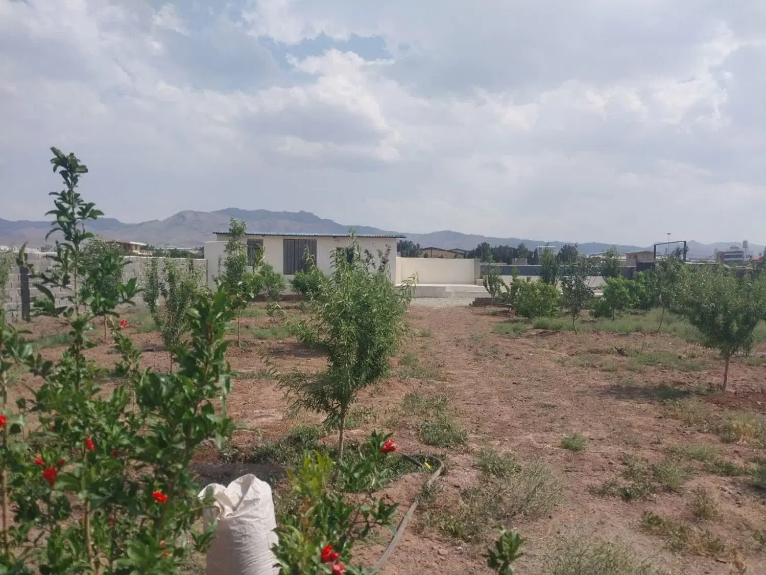 باغ ۱۰۰۰ متری