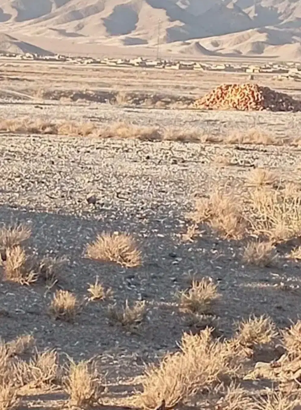 زمین سیادک