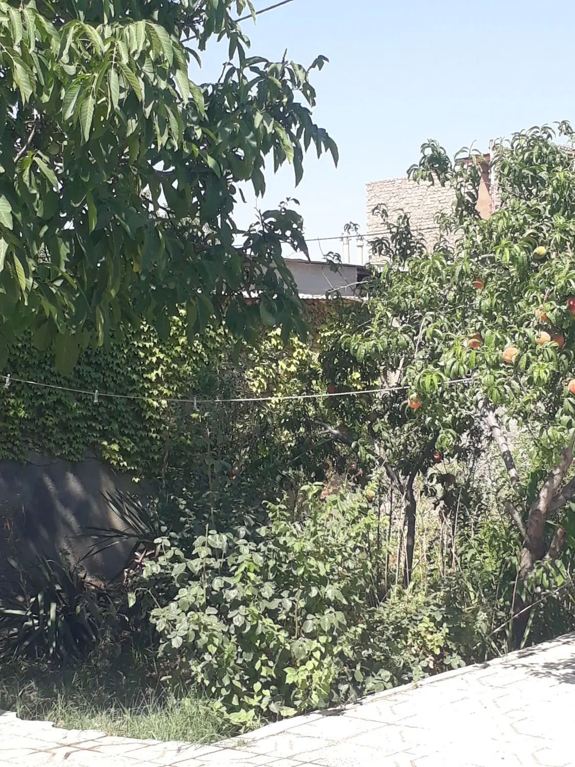 زمین اجاره ای میخام