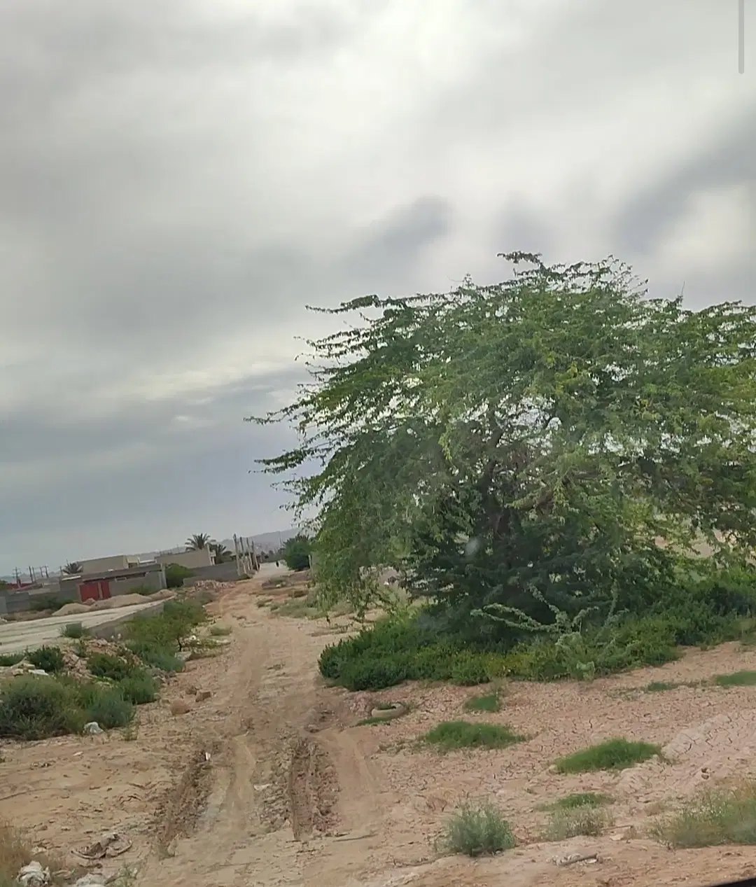 زمین مسکونی دلوار بهرام آباد