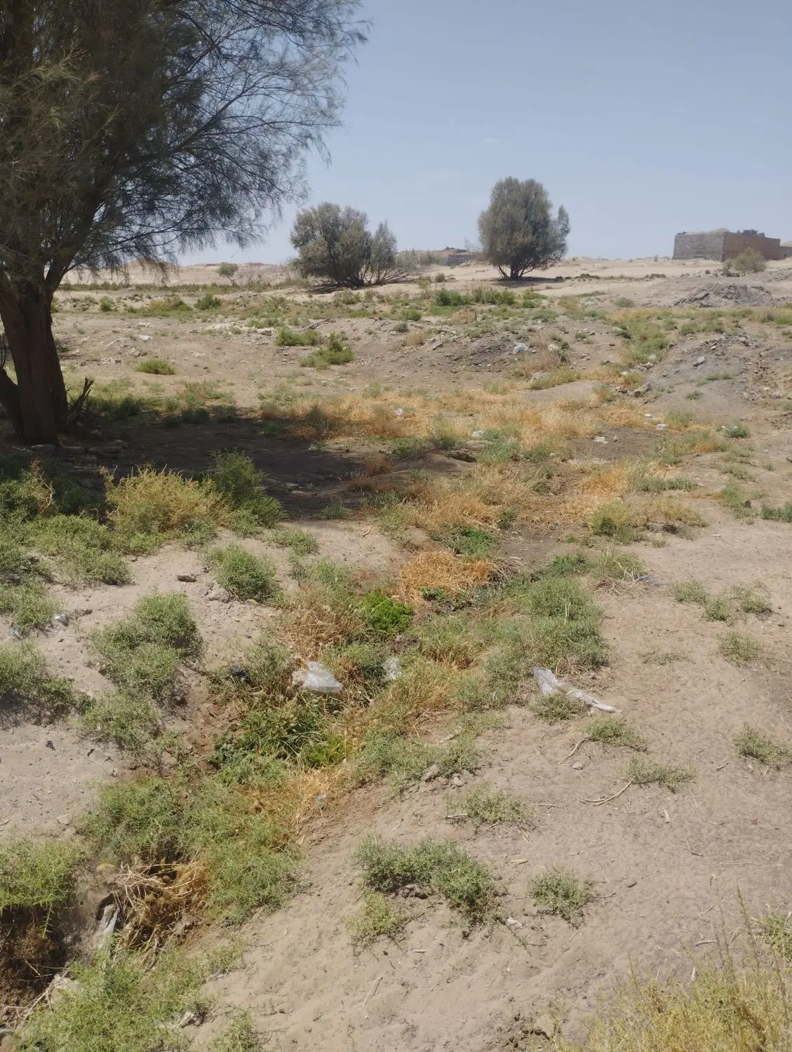 زمین فروشی