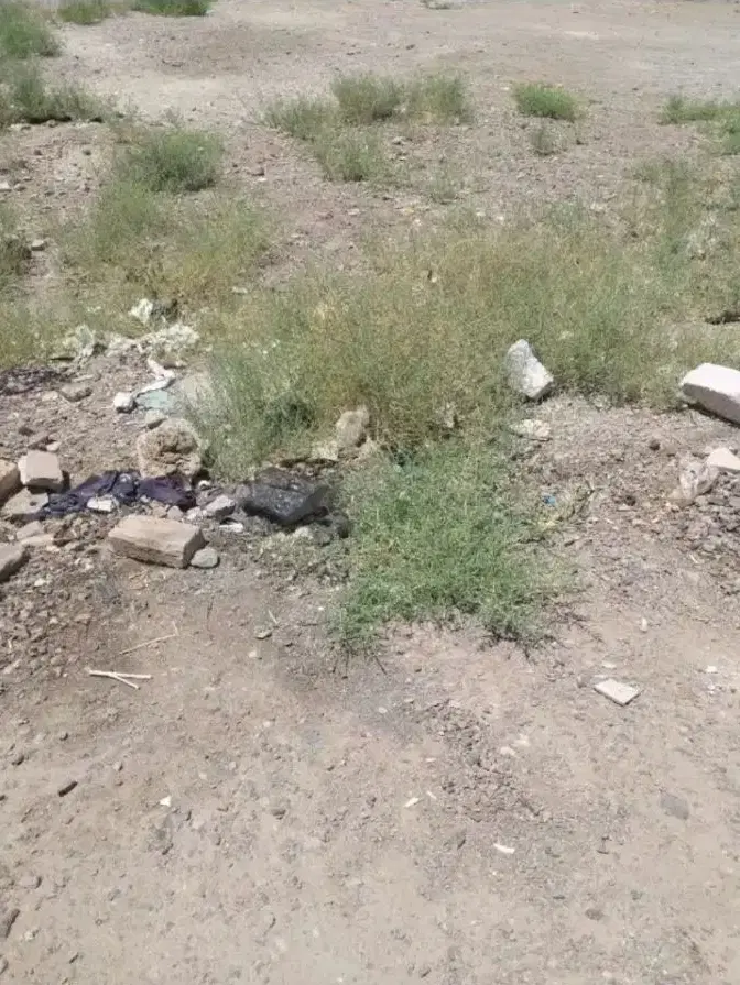 زمین در فیلستان