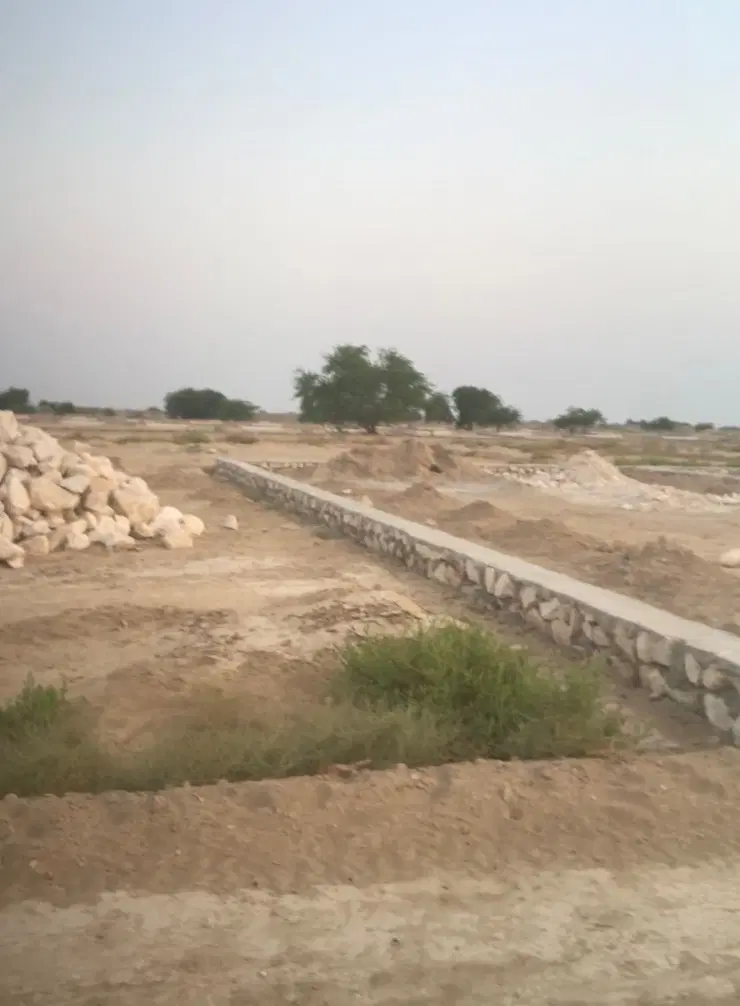دوقطعه زمین ۲۵۰متری