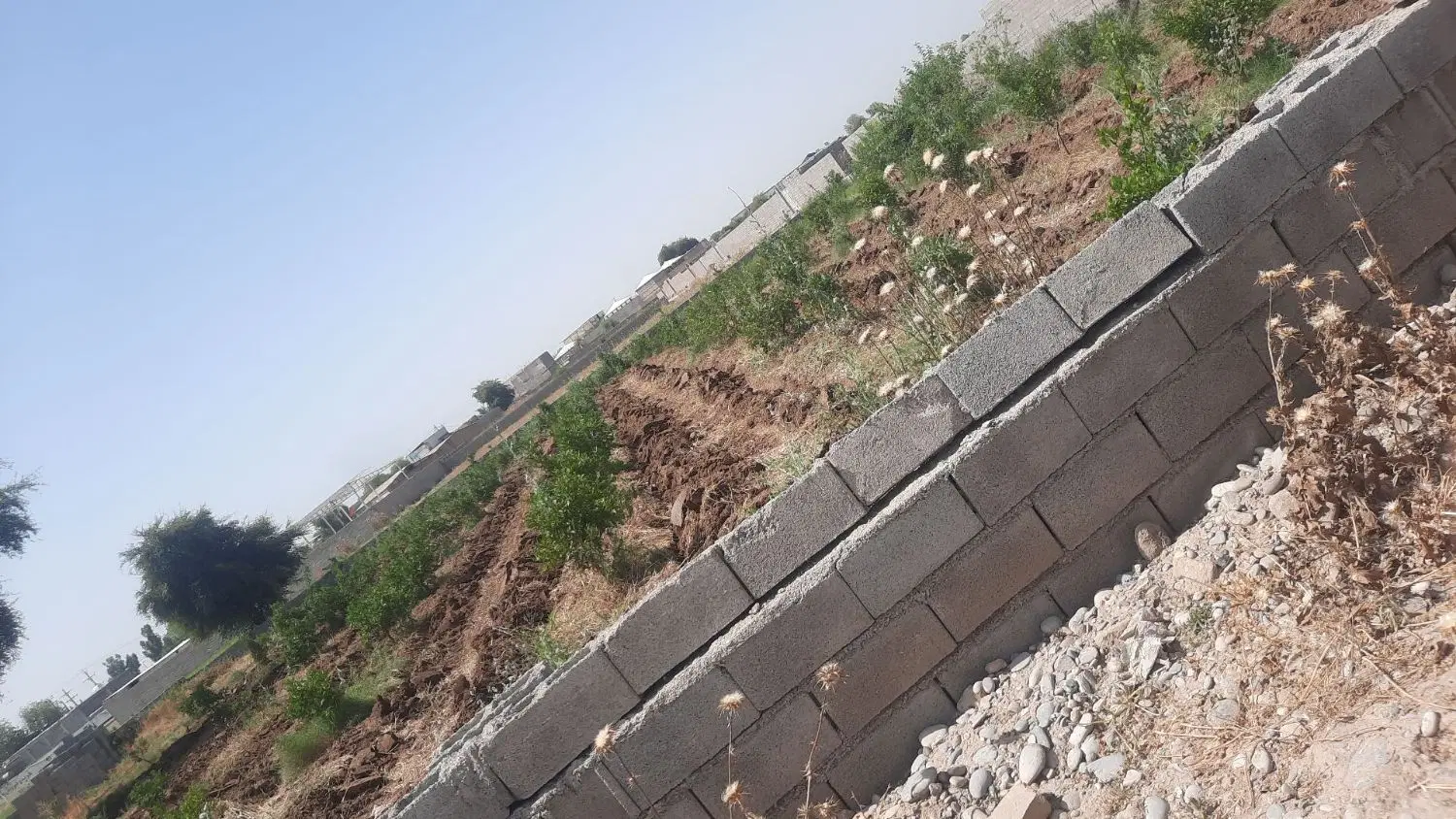 باغچه