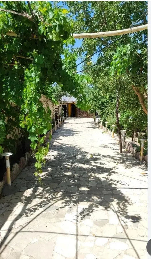 باغ آینده دار