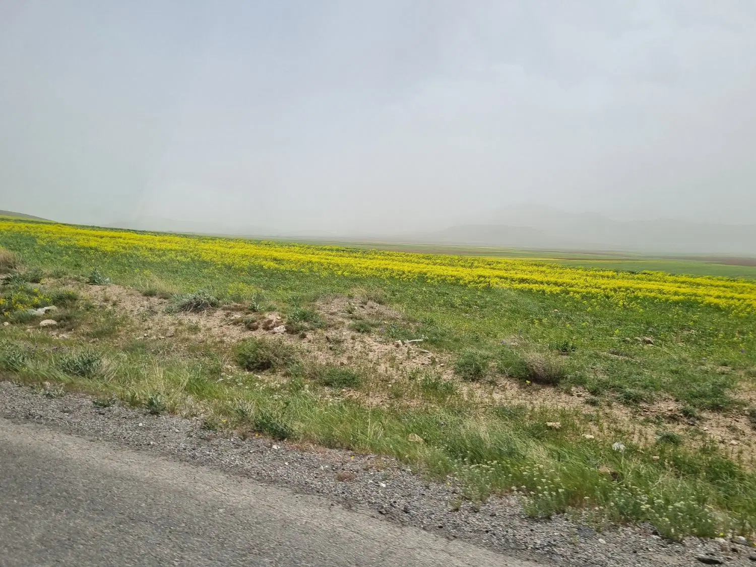 فروش زمین مسکونی