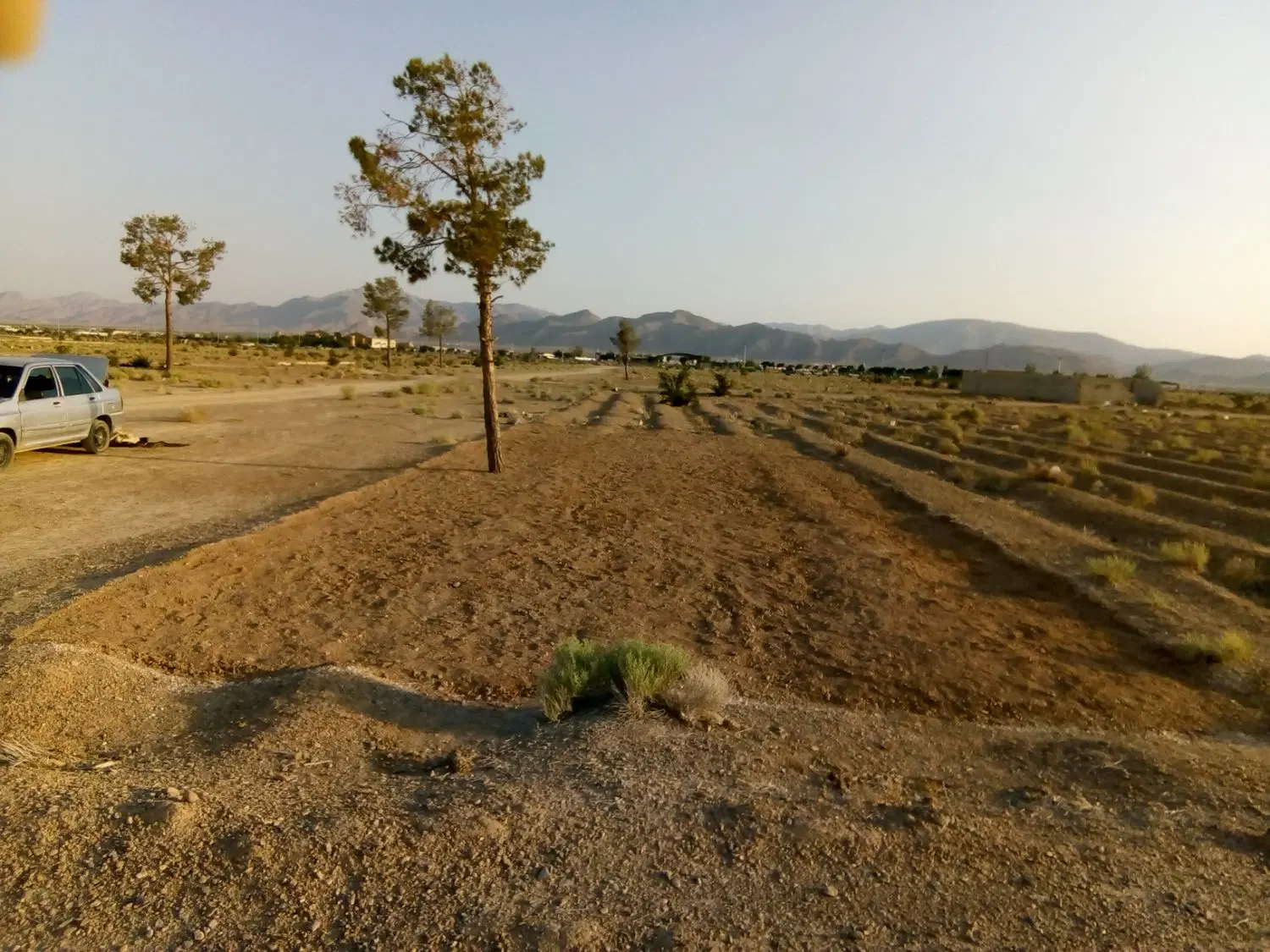 زمین