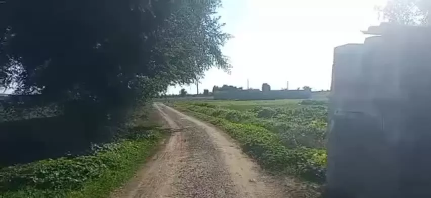 زمین کشاورزی مناسب باغ