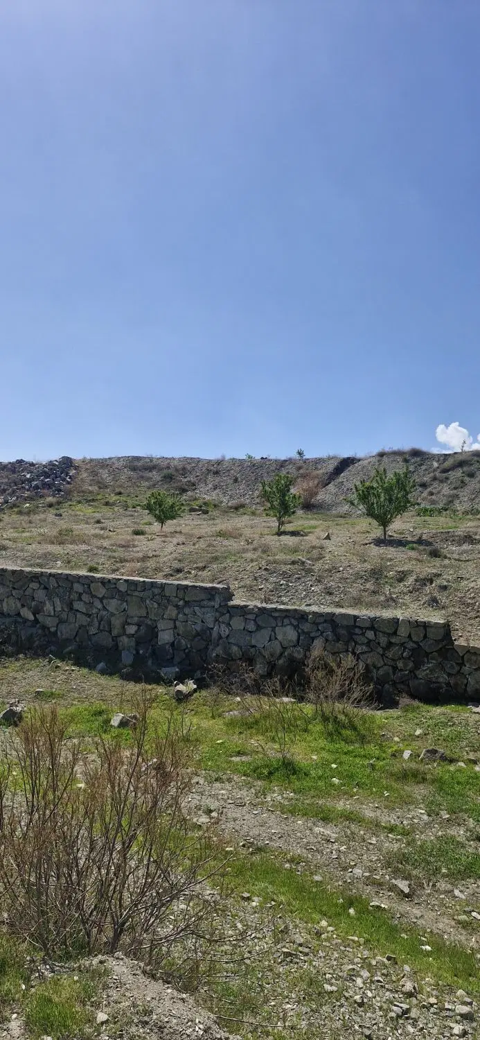 زمین باغی سند تک برگ در طرقبه
