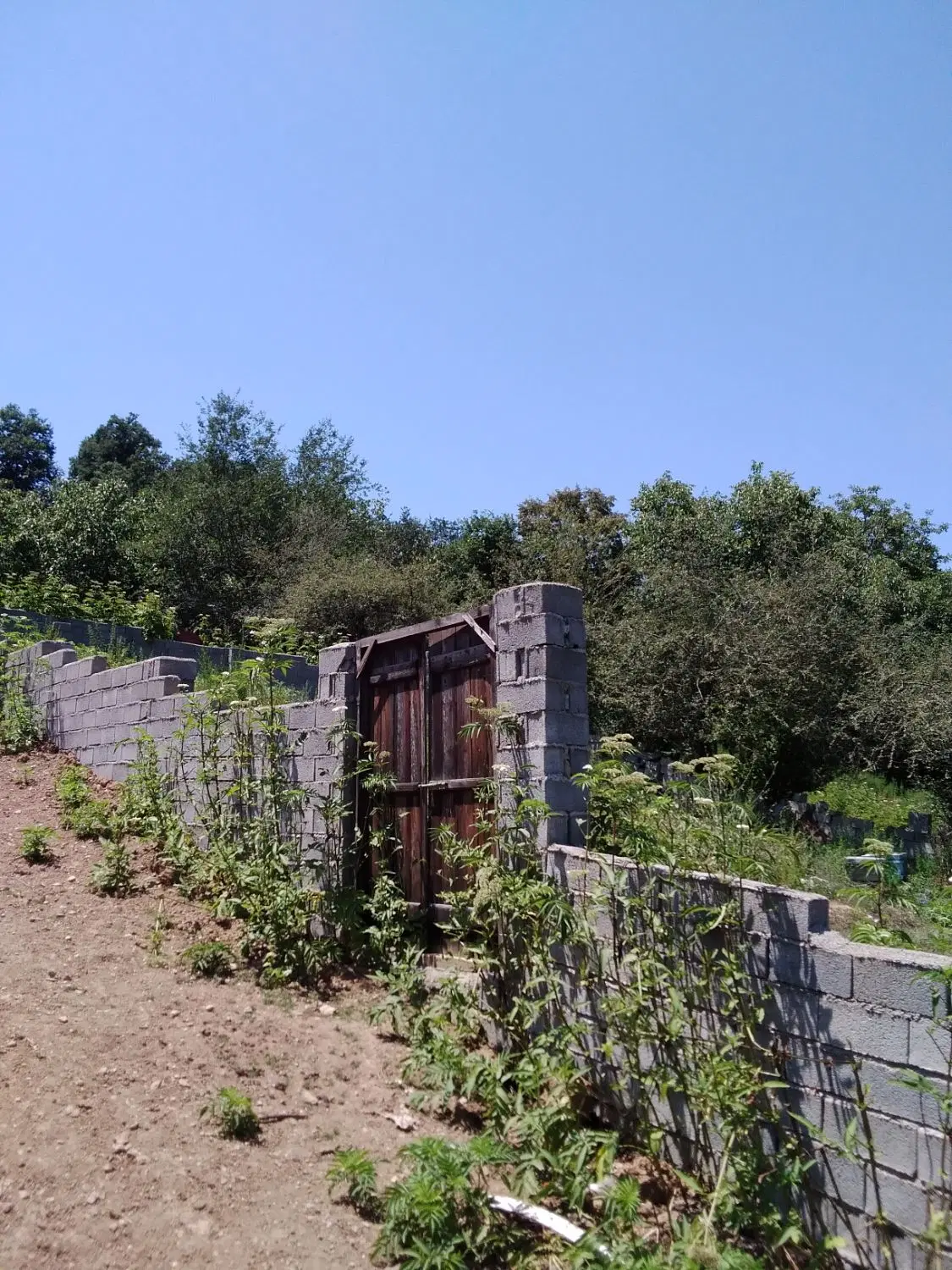 سواد کوه زیبا