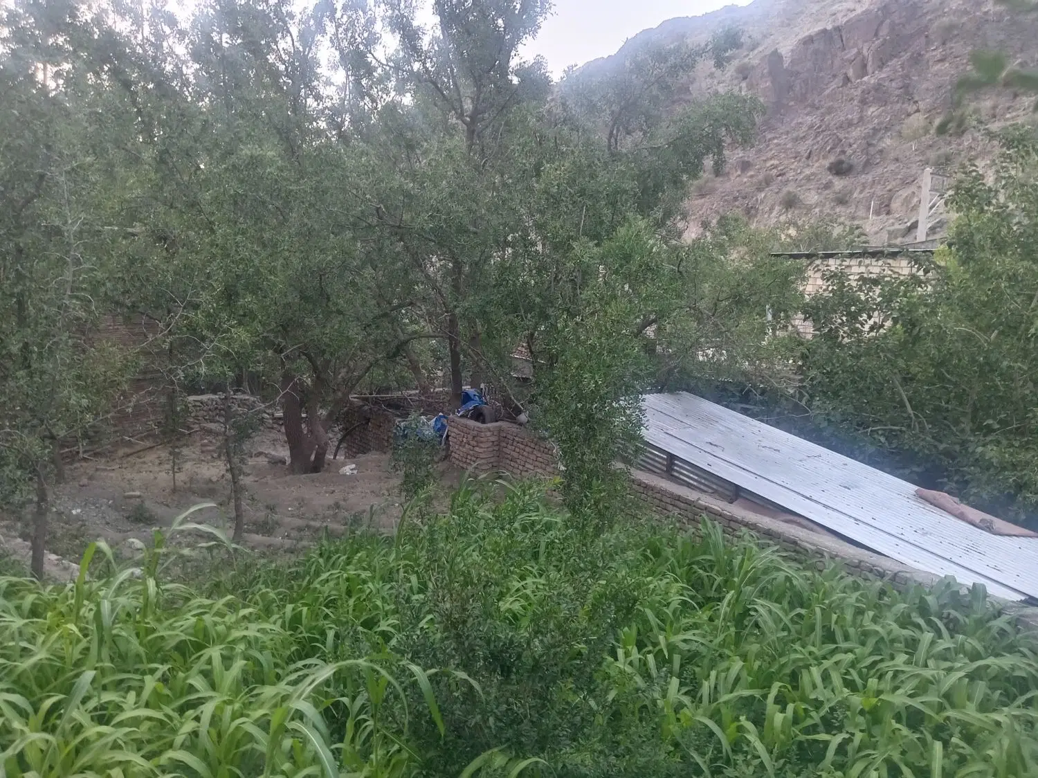 زمین اجاره ای